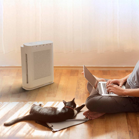 Ionmax Breeze Plus air purifier for cleaner air