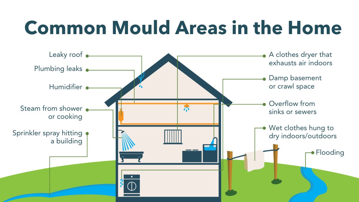 Common areas affected by mould in the home
