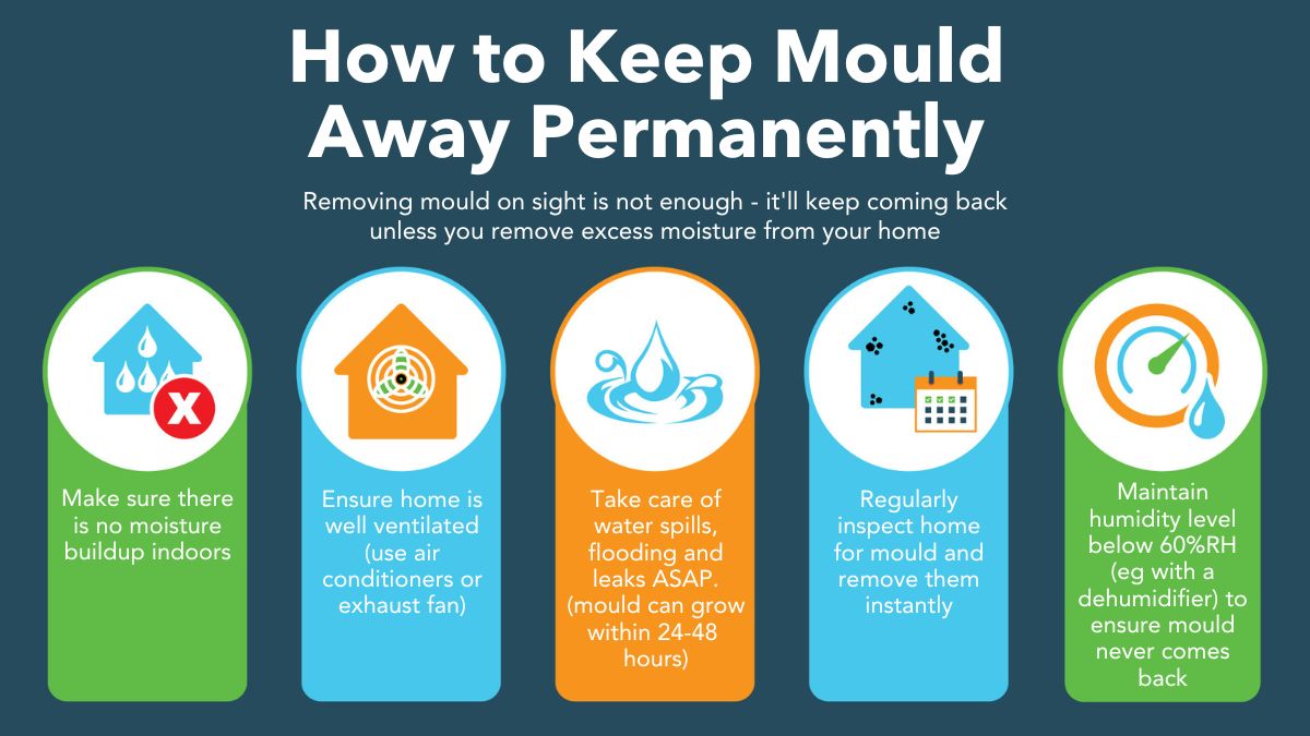 How to remove mould permanently