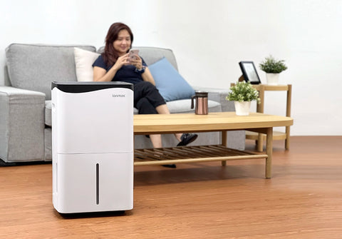 Ionmax Rhine dehumidifier for large spaces