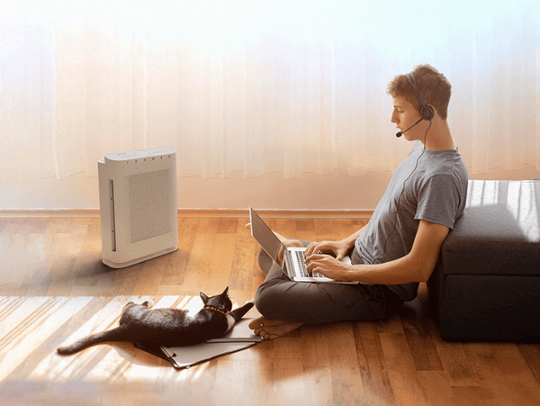 Air purifiers for pets