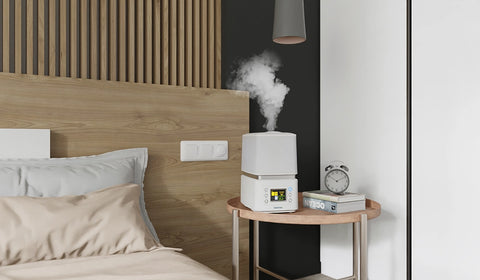 Humidifiers for winter and cold weather