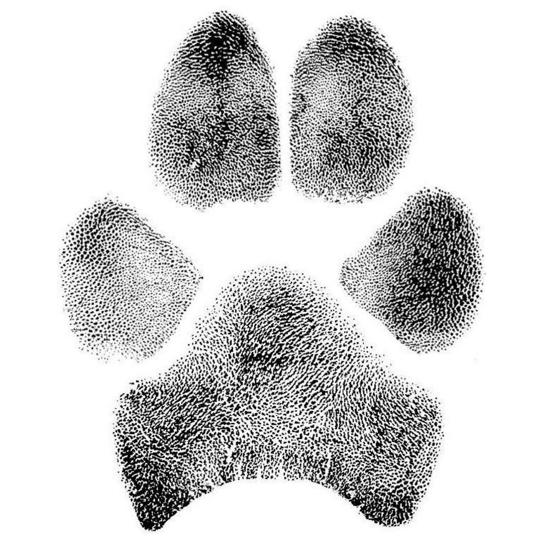 Ink Paw Print – Patch & Purr Pet Cremations