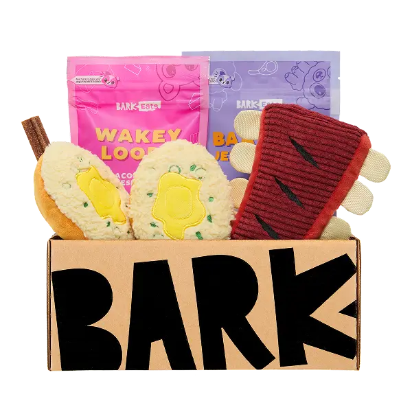 Box with dog toys and treats labeled 'BARK.'