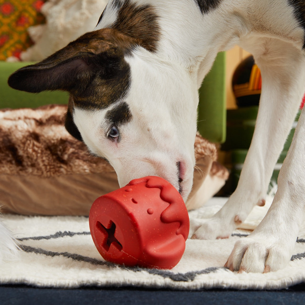 KONG Wobbler Treat Dispensing Dog Toy 