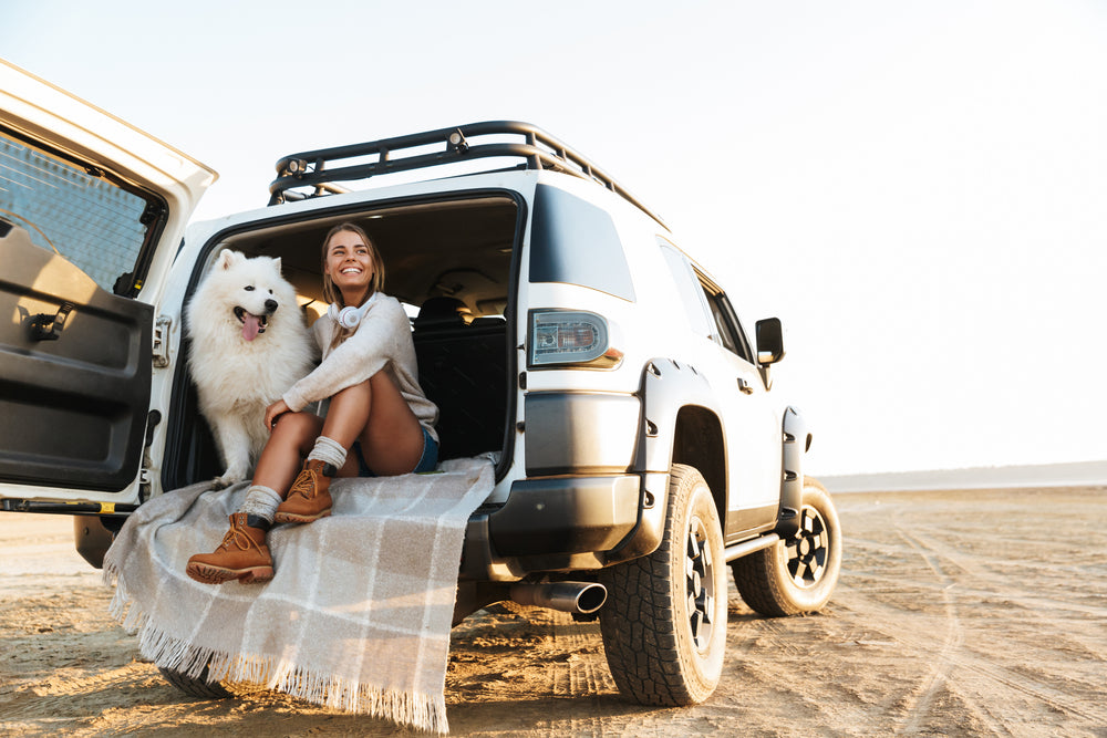 How Hot is Too Hot to Leave Dogs In Cars