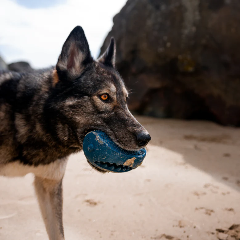 BARK XL Tank Toy - Food Dispensing Dog Toy