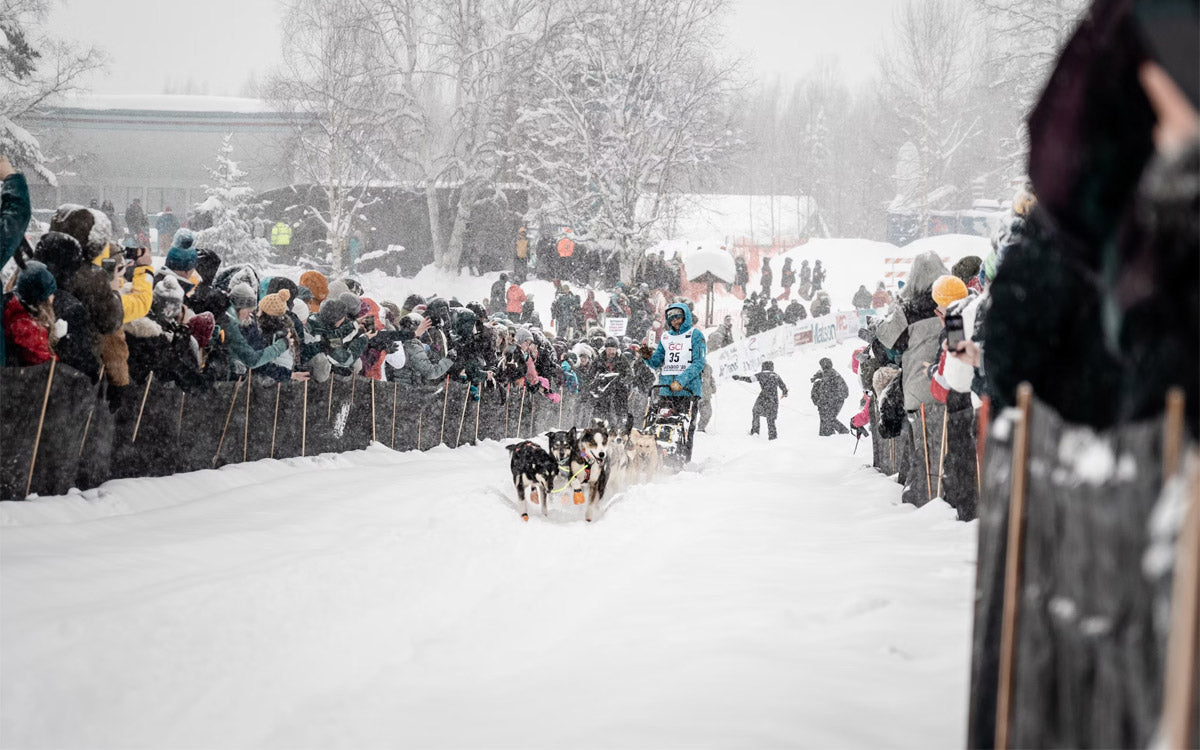 Il passaggio tra il pubblico di una slitta con cani e musher durante una gara