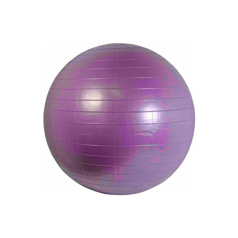 Image of Gym Ball 55cm