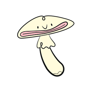 White agaric mushroom