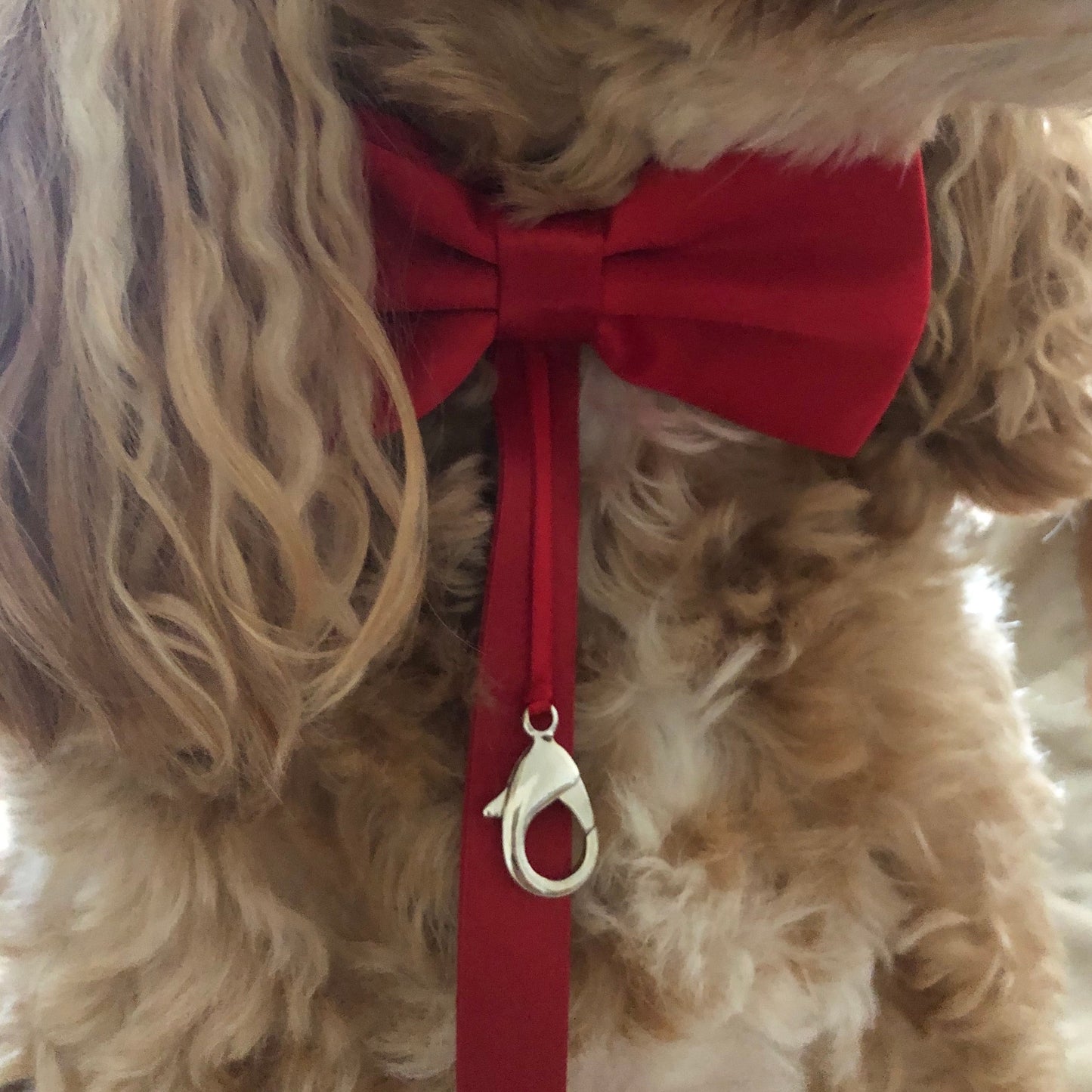 red satin dog bow tie with ring carrier