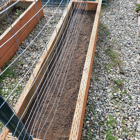 Prepped soil in a long garden box with a metal trellis to grow peas.