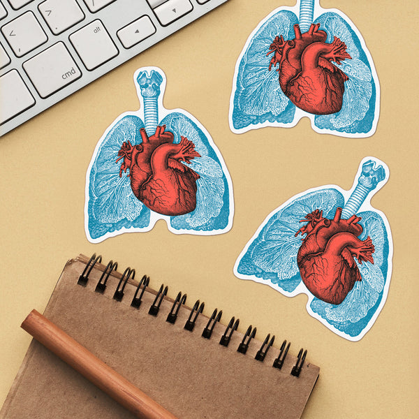 Anatomical Heart Laptop Stickers – PRRINT!