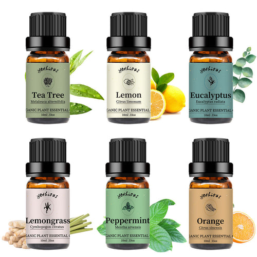 Essential Oils Set Top 16, 16 x10 ml each, Lavender Peppermint Lemon  Orange, Lemongrass, Rosemary, Eucalyptus, Tea Tree, Mandarin, Lime,  Frankincense