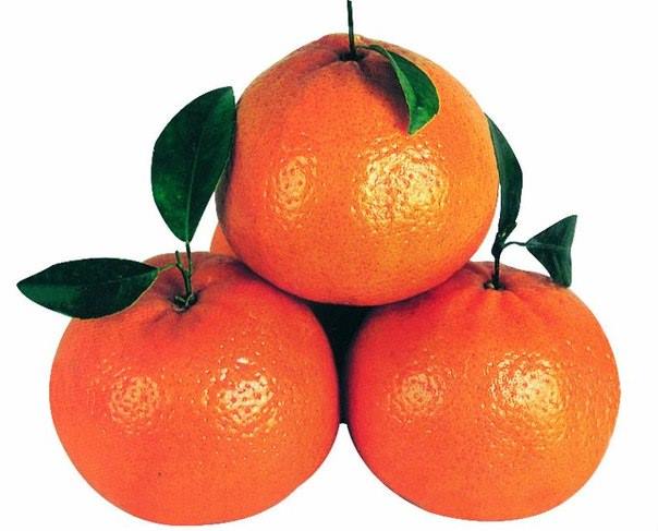 Karachi Orange 1 Kg – Sunnyfresh Delivery
