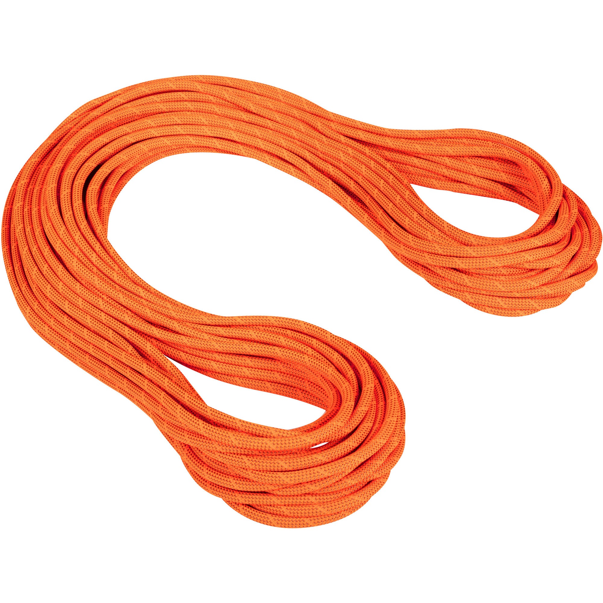 Mammut 9.8 Crag Dry Climbing Rope