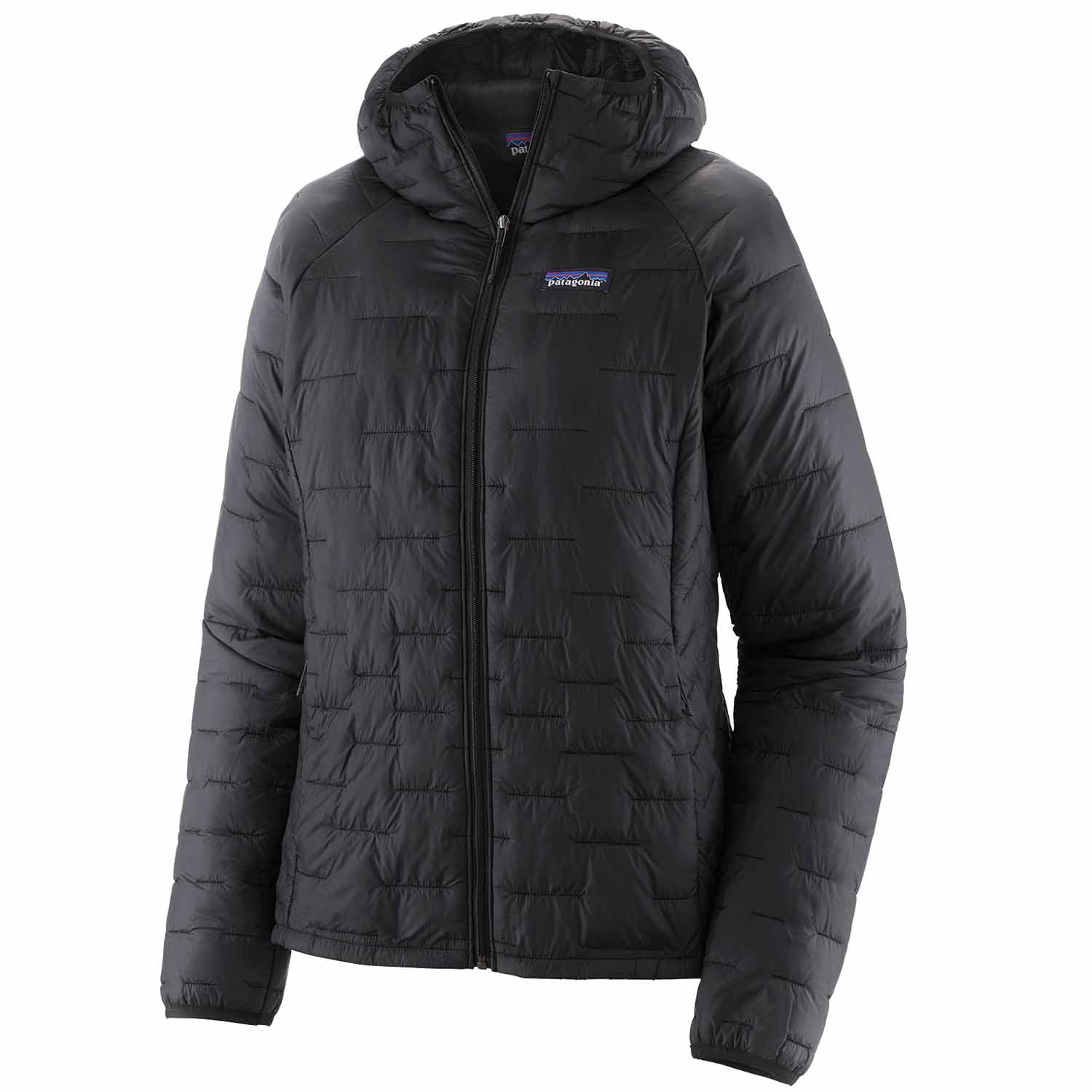 Patagonia Women's Micro Puff Hoody