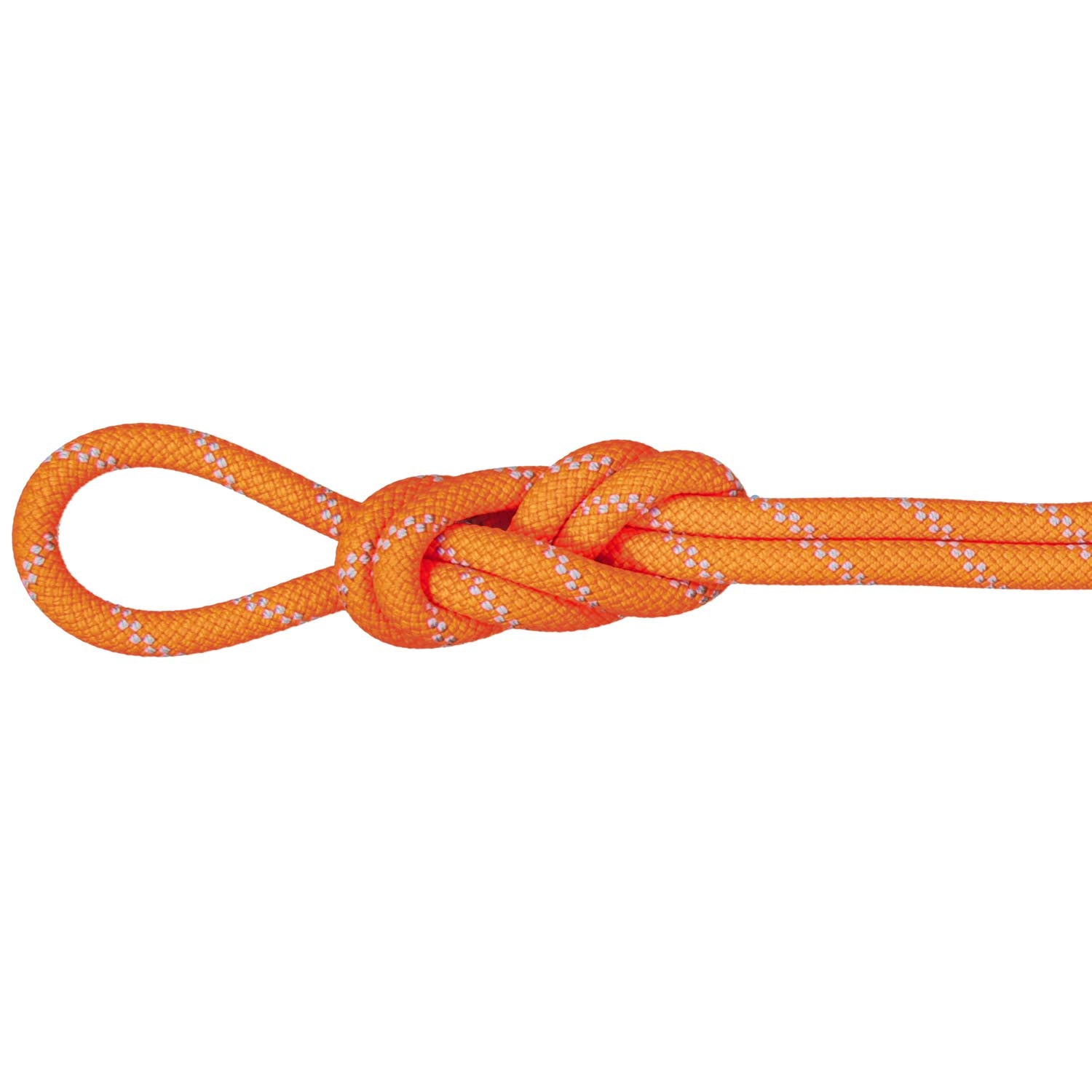 Mammut 9.5 Alpine Dry Climbing Rope