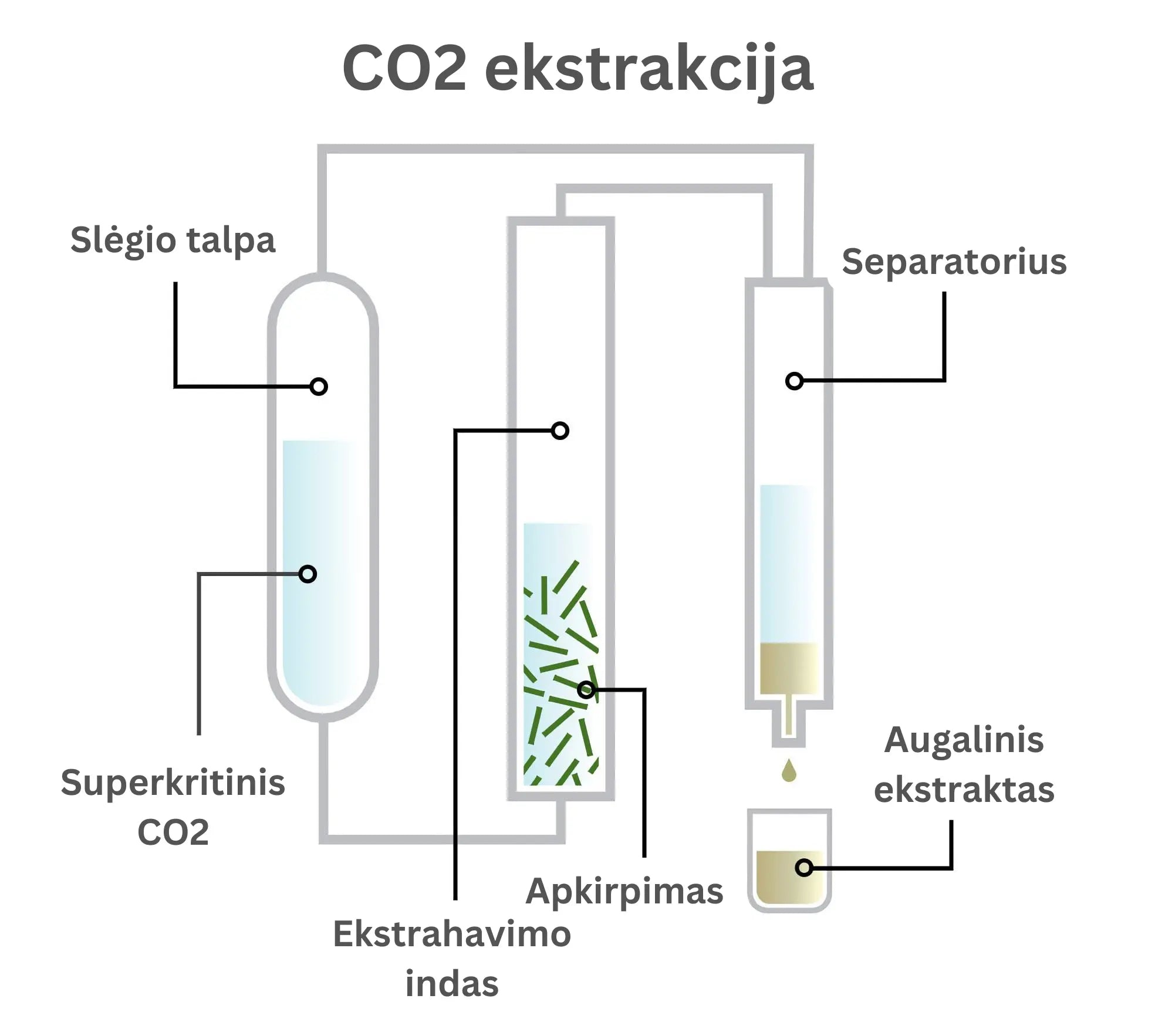 CO2 ekstrakcija