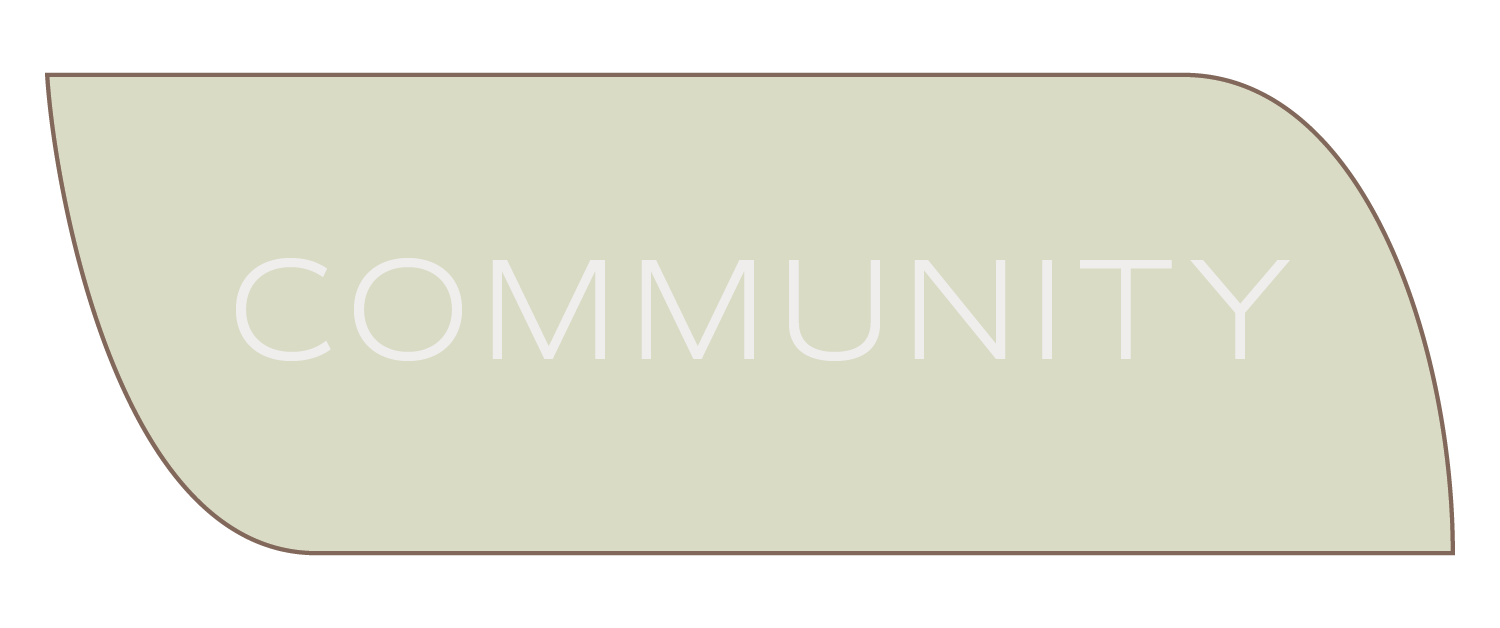 community-02