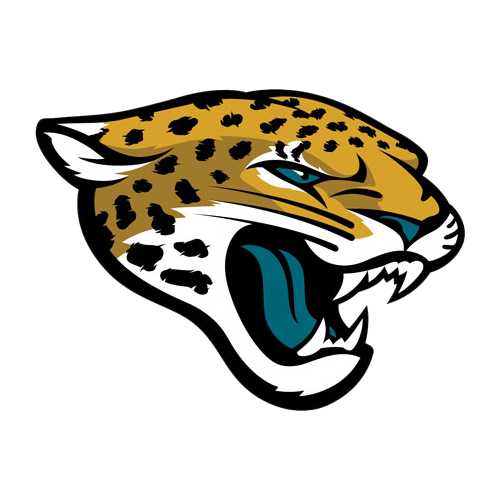 Jacksonville Jaguars Singles