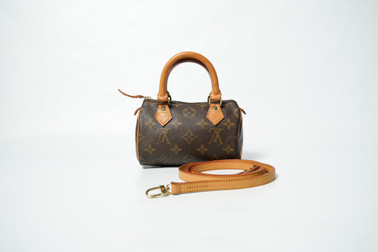 LOUIS VUITTON Boston Bag Speedy 25 – Rob's Luxury Closet