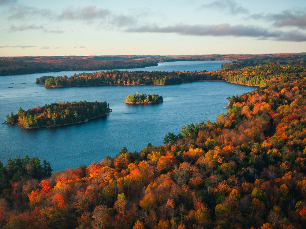 aerial shot of lake with fall colours