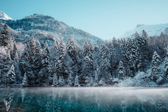 calm lake in winter surrounded by coniferous trees in the Rocky Mountains