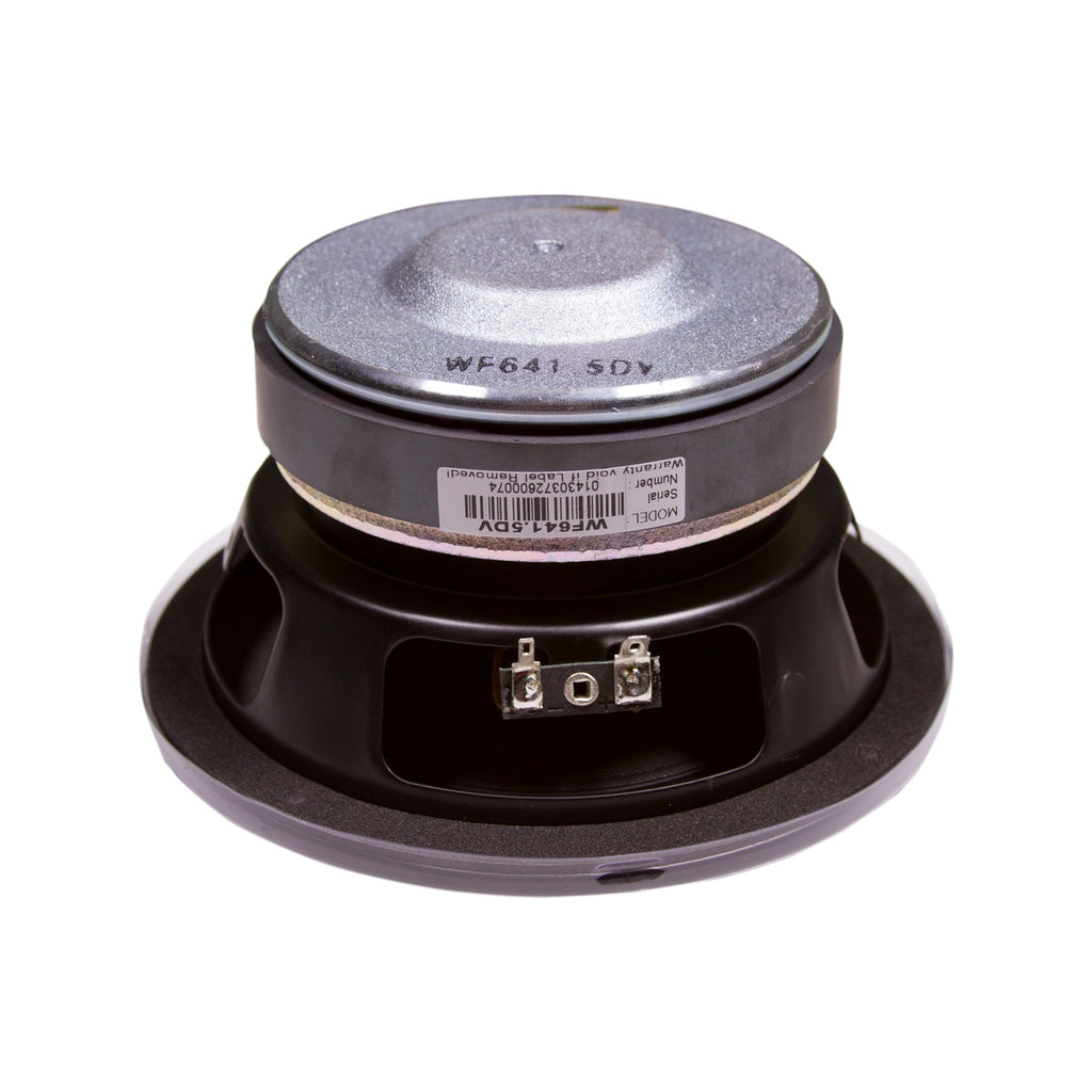 6 inch dual voice coil subwoofer