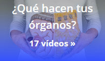 ¿Qué hacen tus órganos? Videos