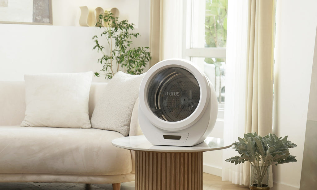 Portable Clothes Dryer: Transform Small Space Living & Simplify Laundr