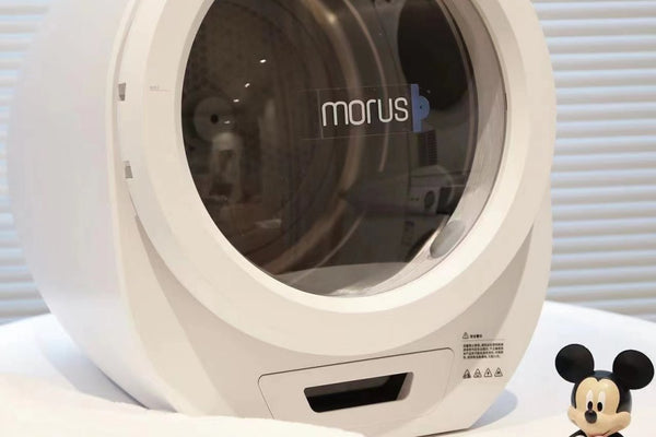 Morus clothes dryer