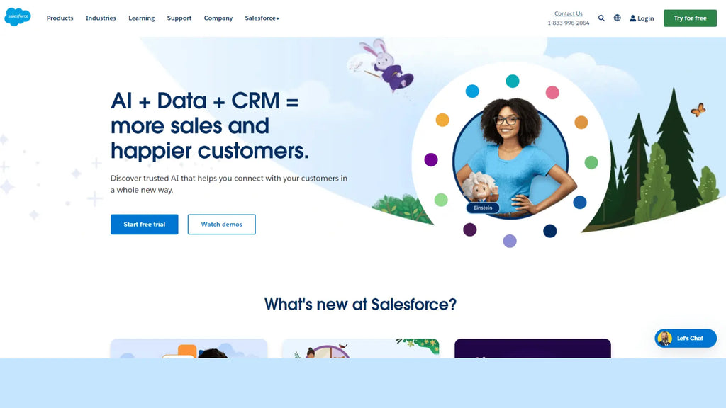 salesforce login page