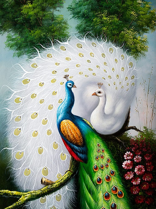 white peacock paintings