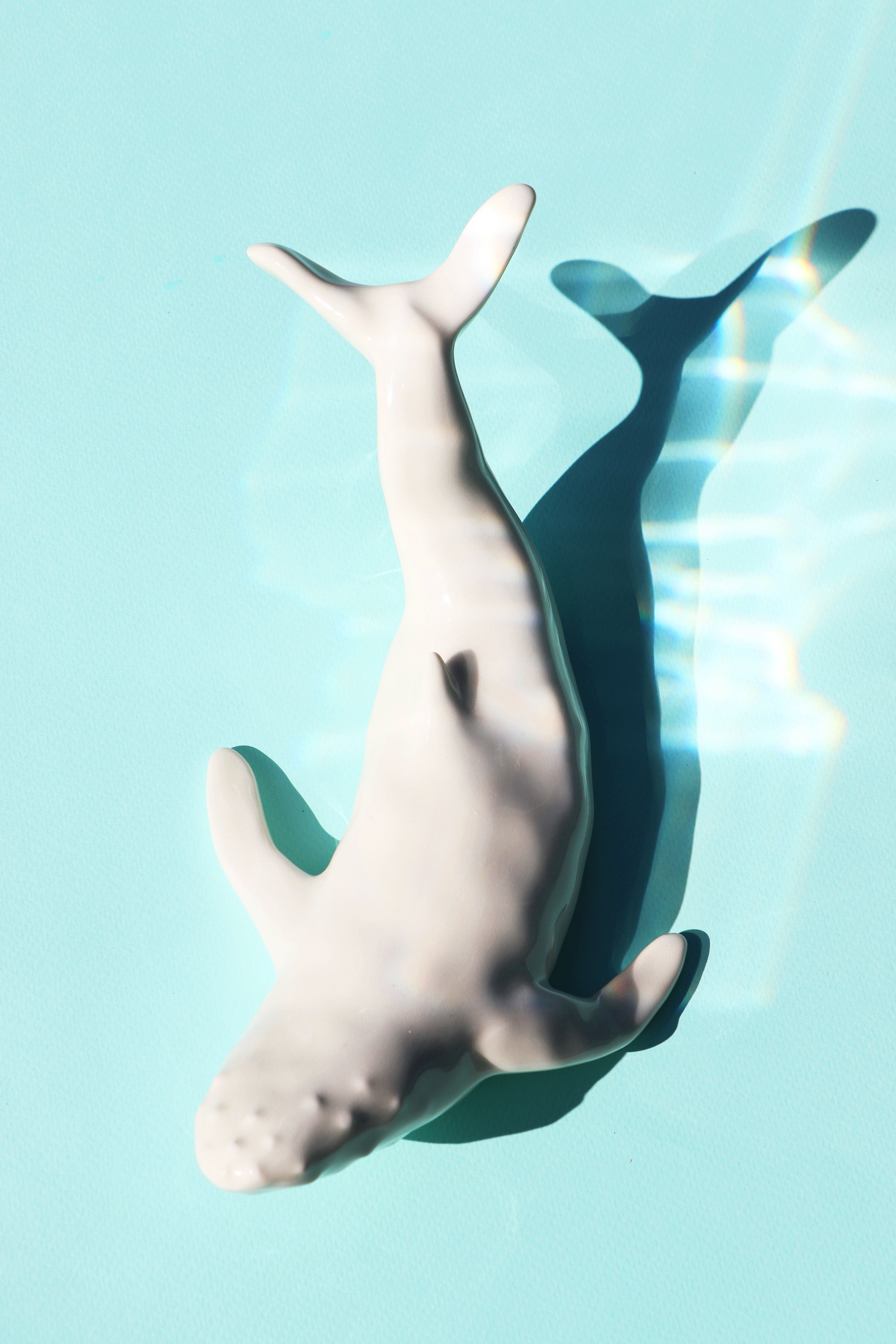 White ceramic humpback whale against a turquoise background. The whale is pictured from above with wavelike reflections.