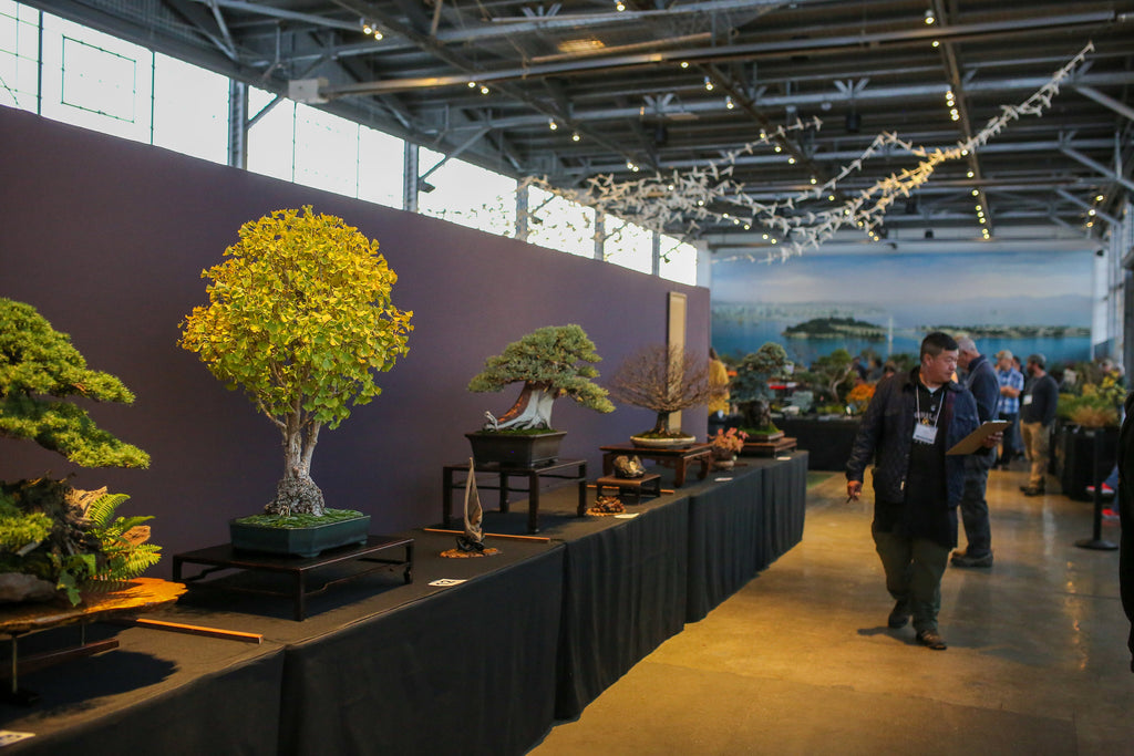 An exhibitor judging the 2022 Pacific Bonsai Expo