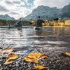 Paddle Board vs Kayak: Which Should You Choose?