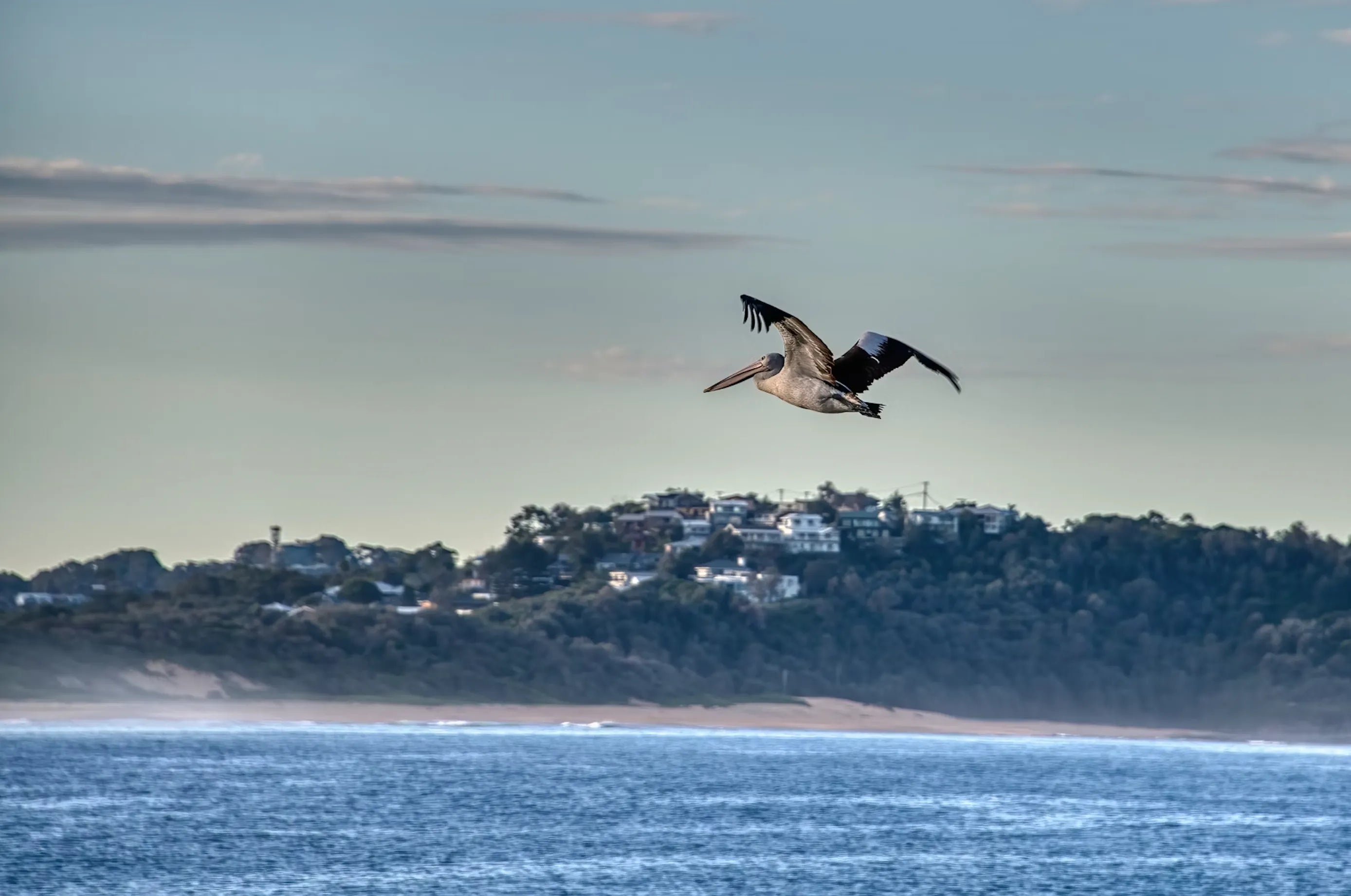 2. Terrigal Lagoon