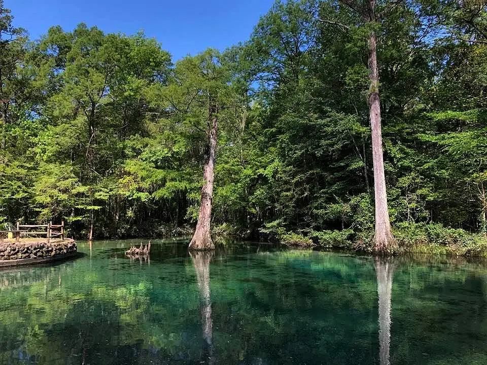 Paddle Boarding Orlando DeLeon Springs State Park