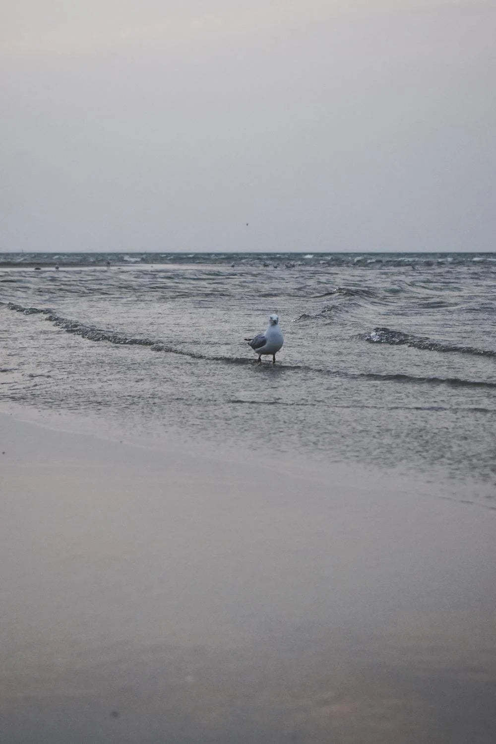 3. Mother’s Beach Mornington