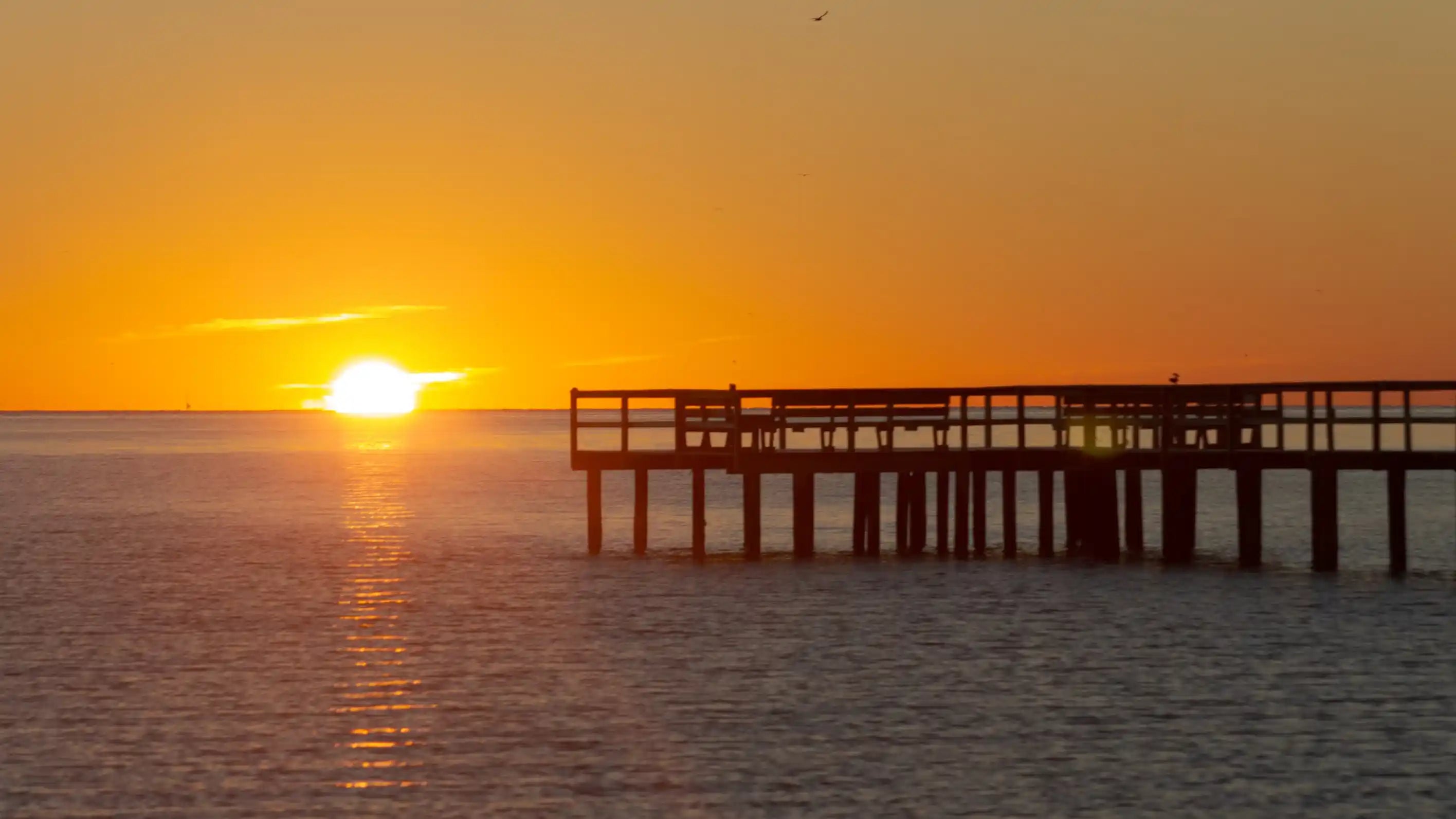 4. Galveston Bay