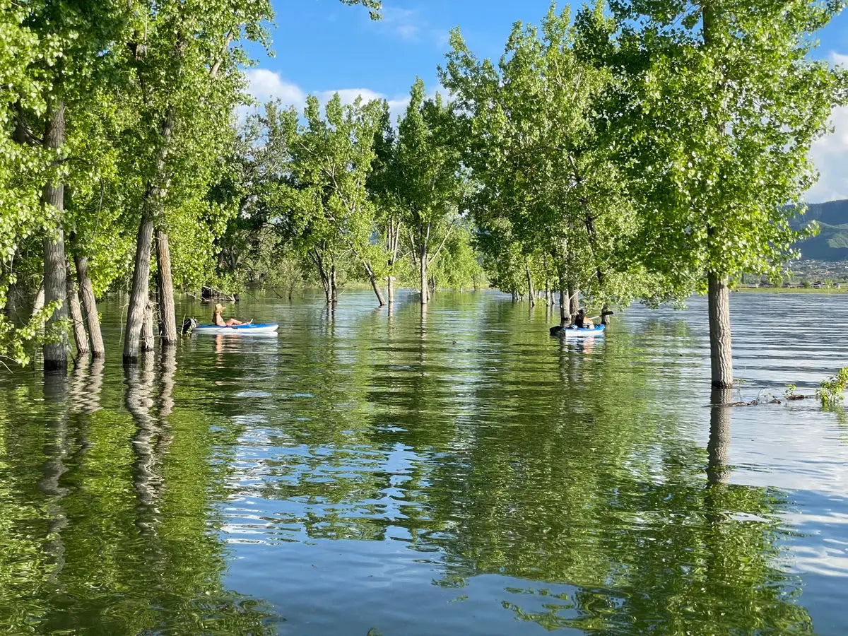 Paddle Boarding Denver Chatfield Reservoir