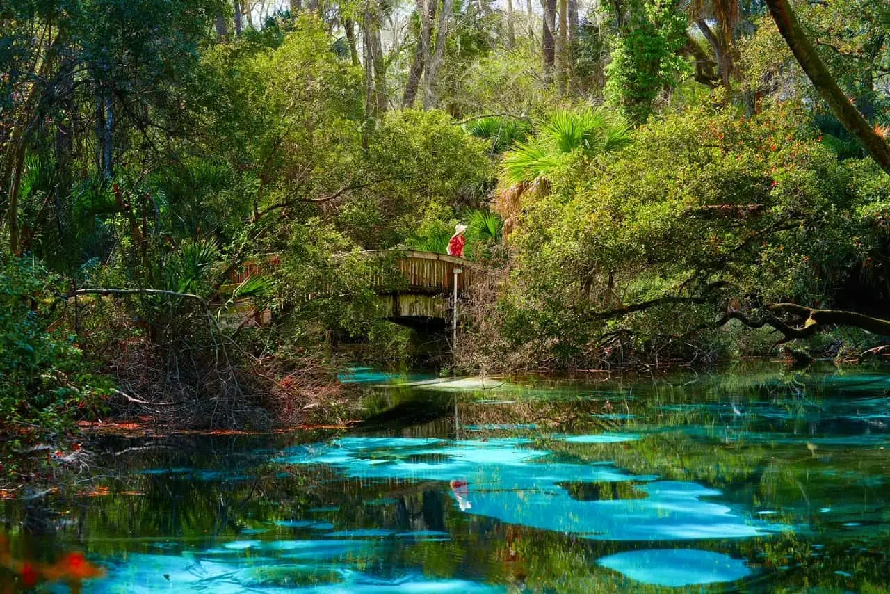 Paddle Boarding Orlando Juniper Springs