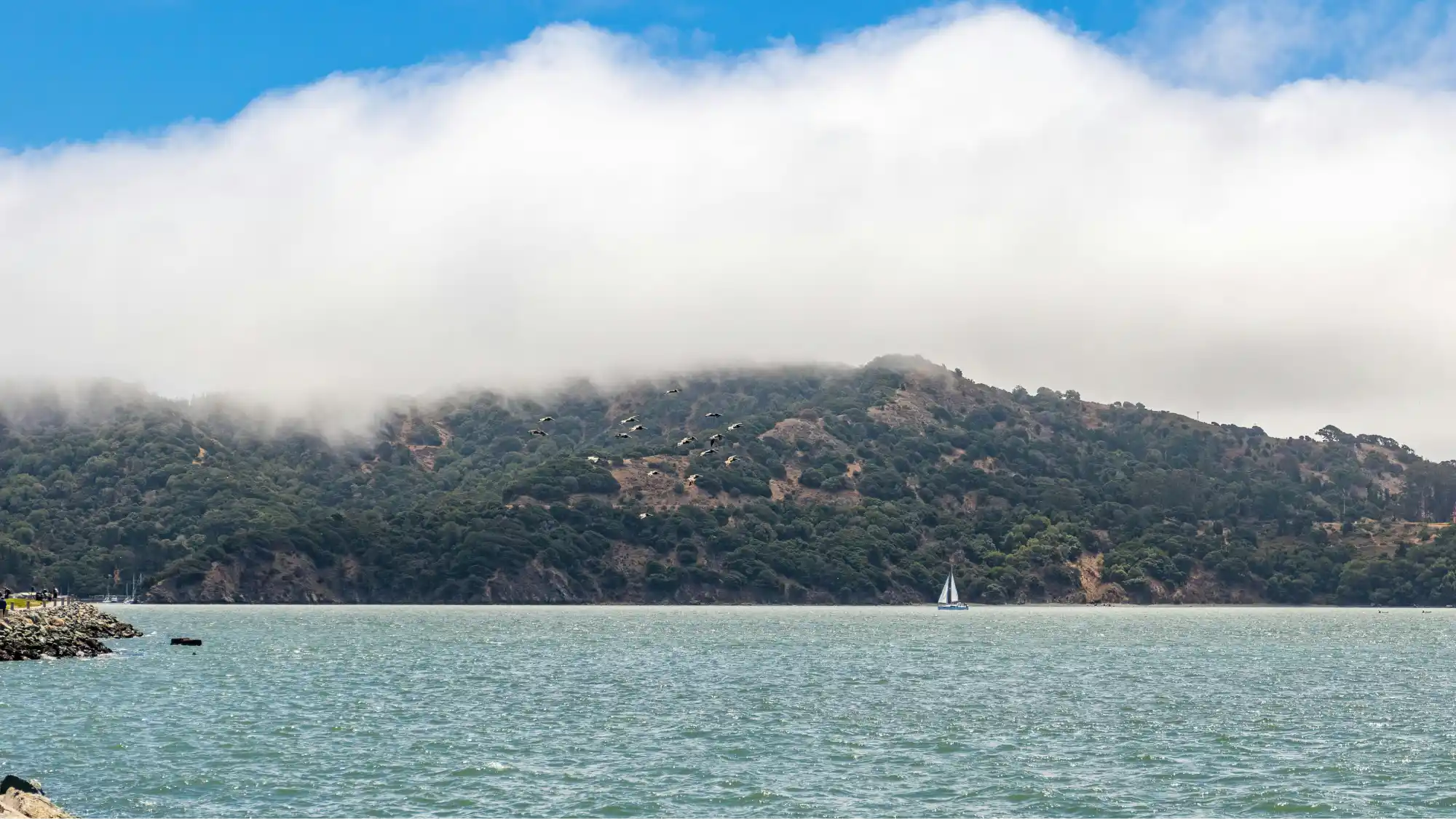 6. Angel Island