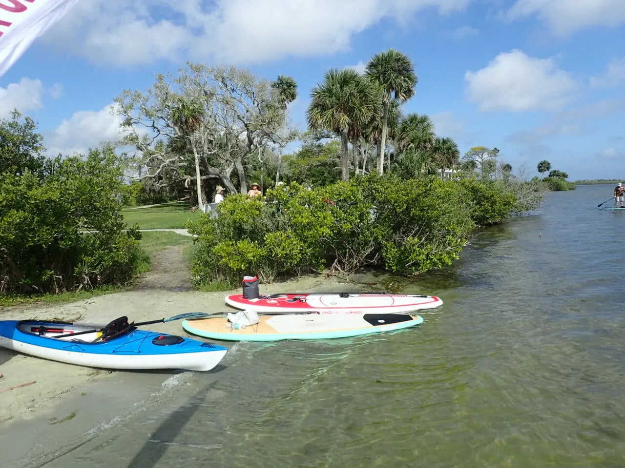 Paddle Boarding Orlando Mosquito Lagoon