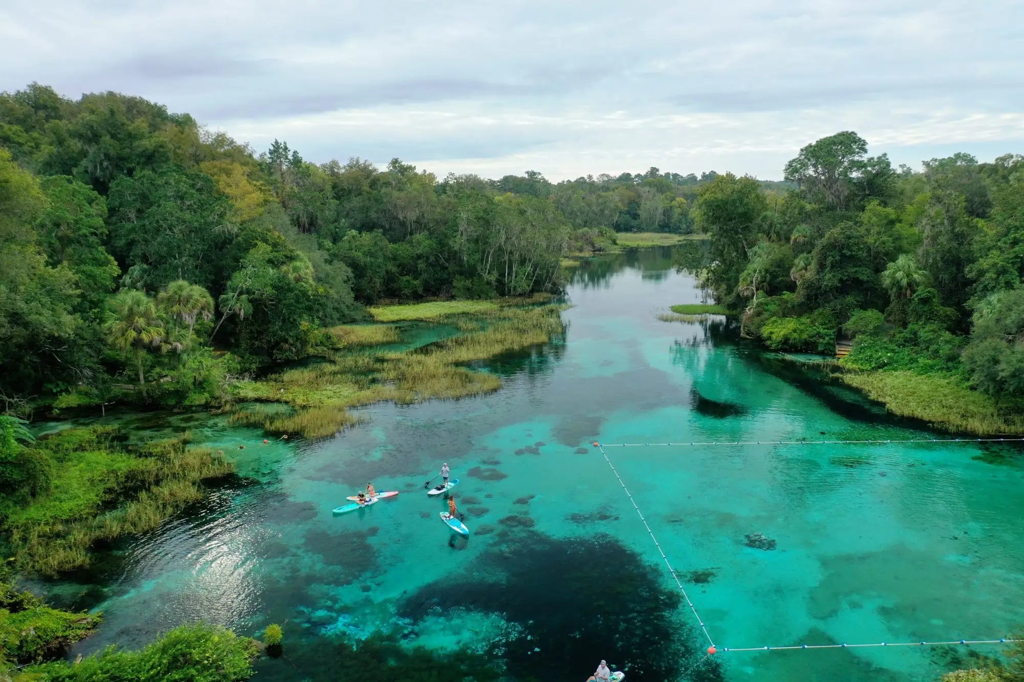 Paddle Boarding Orlando Rainbow River