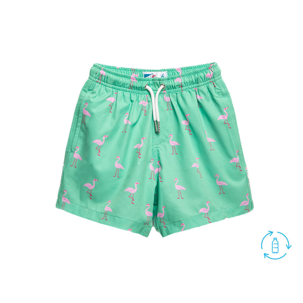 Boy's Green Flamingo Shorts