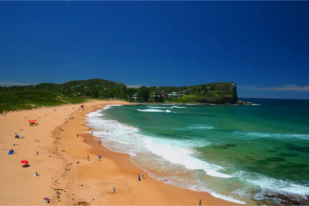 Avalon - Narrabeen Beach