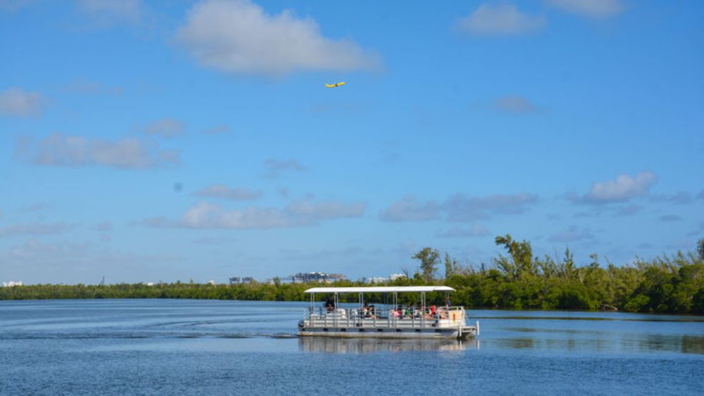 Paddle Boarding Fort Lauderdale West Lake Park