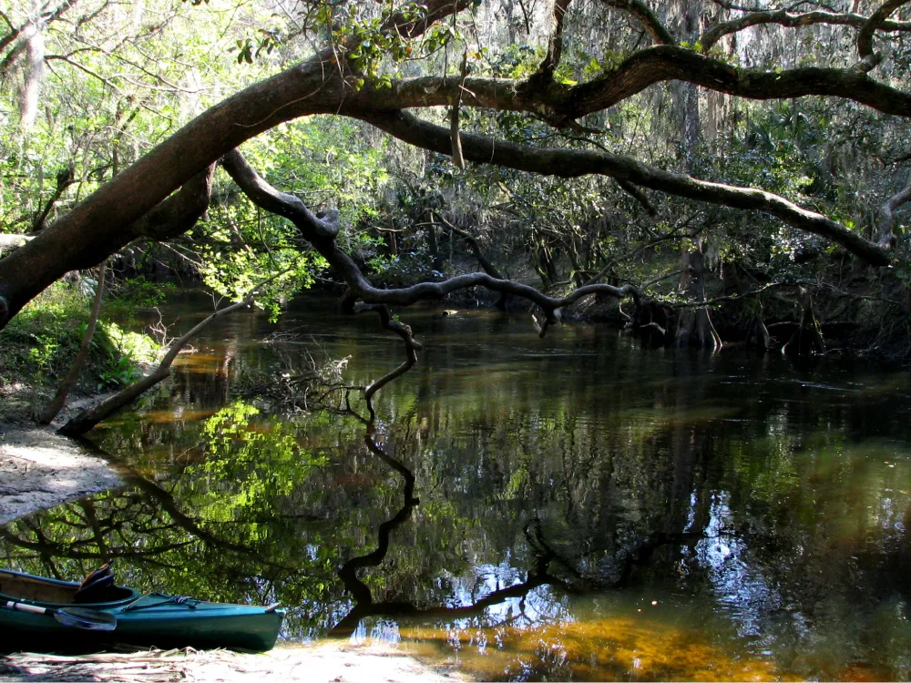 Alafia River